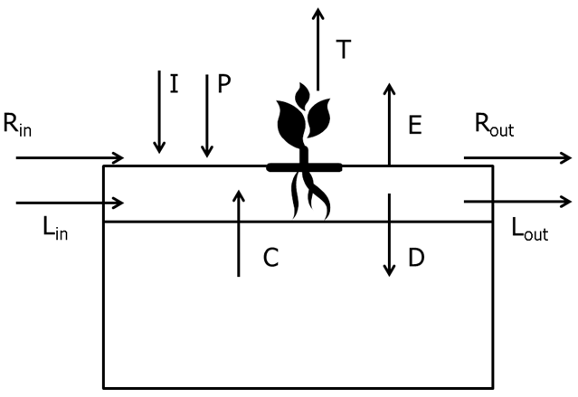 Field level water balance